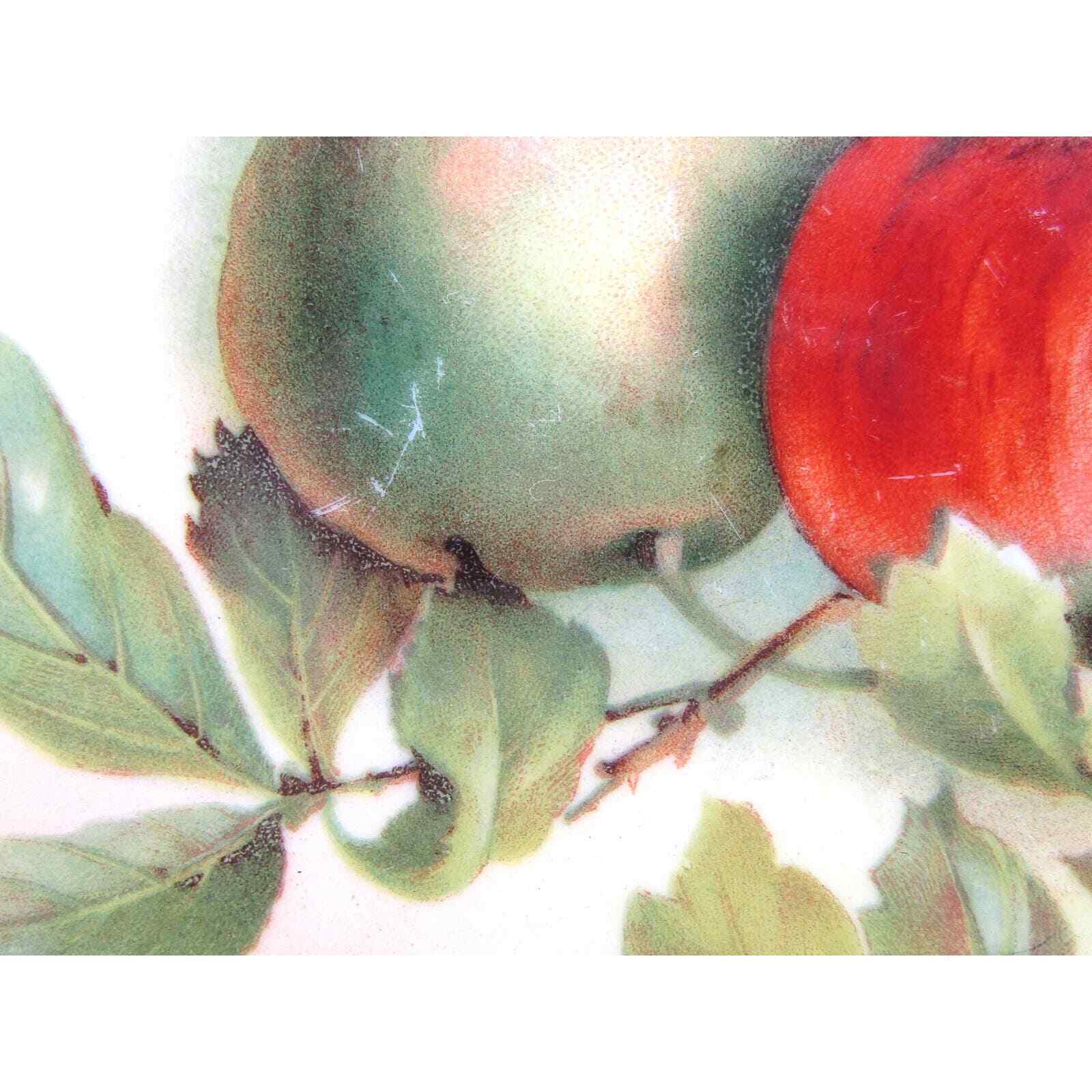 J&C Bavaria Louise Charger Hand Painted Fruit Signed by H. Koch c1898