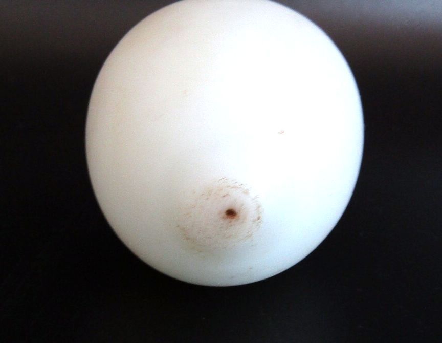 Antique Hand Blown Milk Glass Nesting Brooder Egg Rough Pontil Mark 2-3/8"