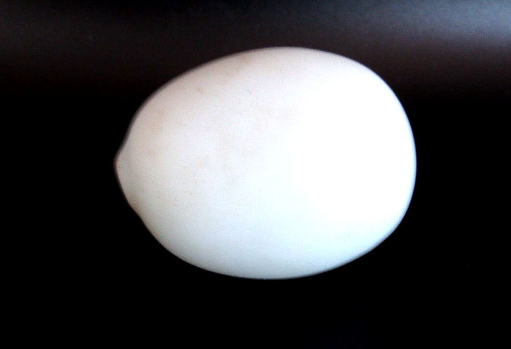 Antique Hand Blown Milk Glass Nesting Brooder Egg Rough Pontil Mark 2-3/8"