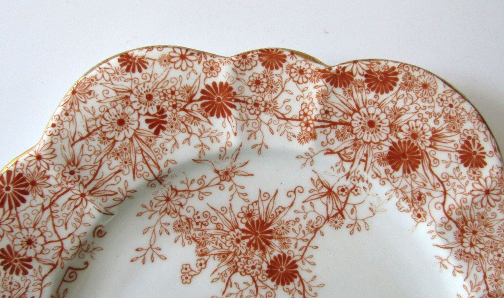 Antique Wileman Foley Pre-Shelley Daisy Shape Jungle Print 7.25" Tea Side Plate