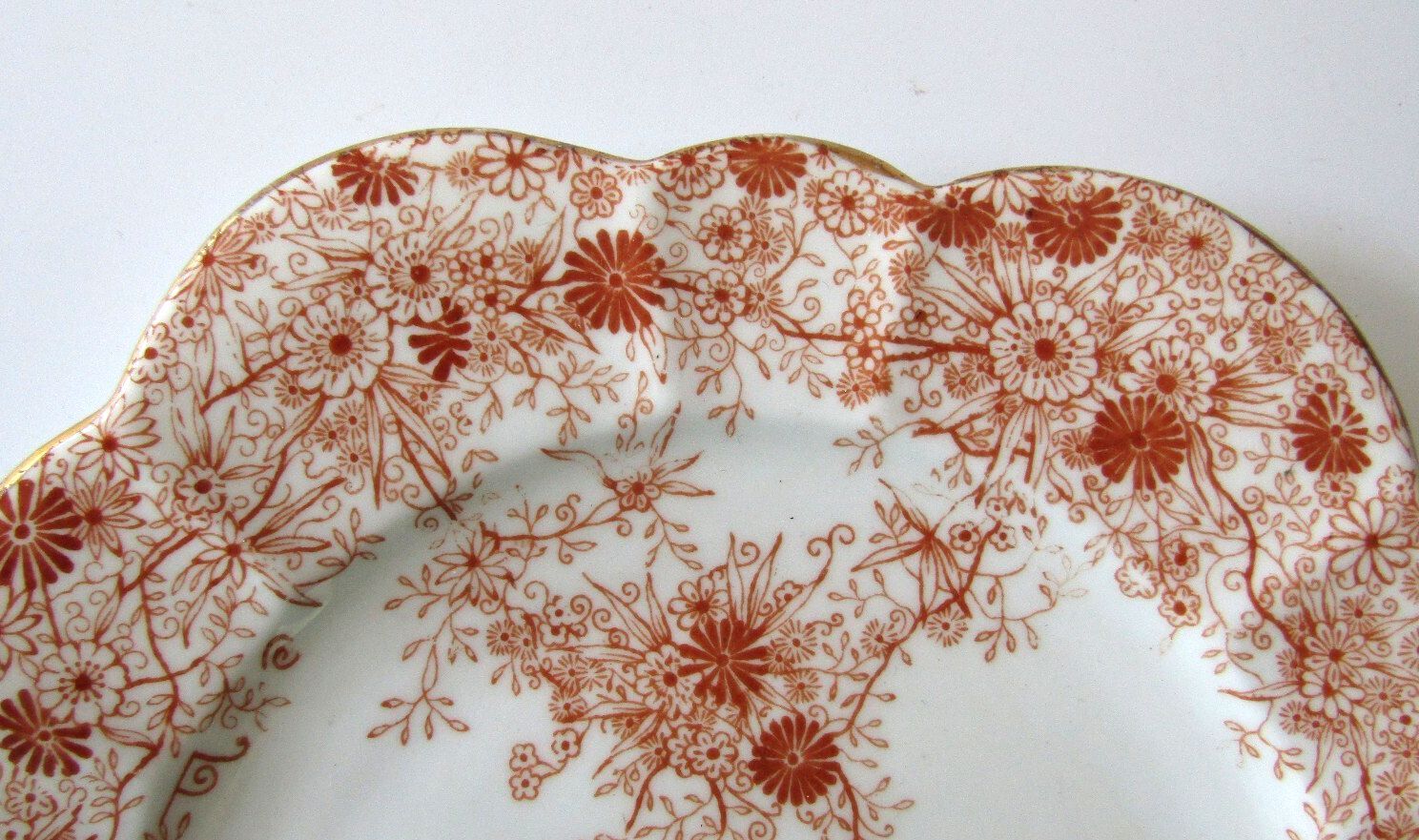 Antique Wileman Foley Pre-Shelley Daisy Shape Jungle Print 7.25" Tea Side Plate