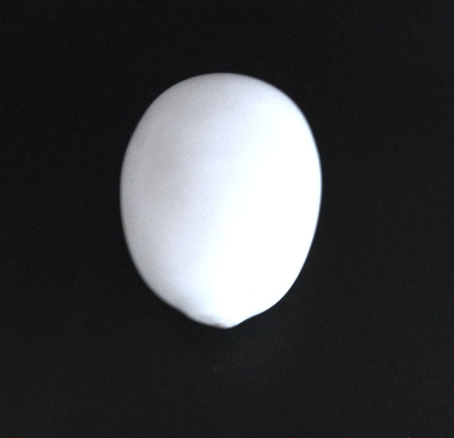 Antique Hand Blown Milk Glass Nesting Brooder Egg Rough Pontil Mark 2-3/8"