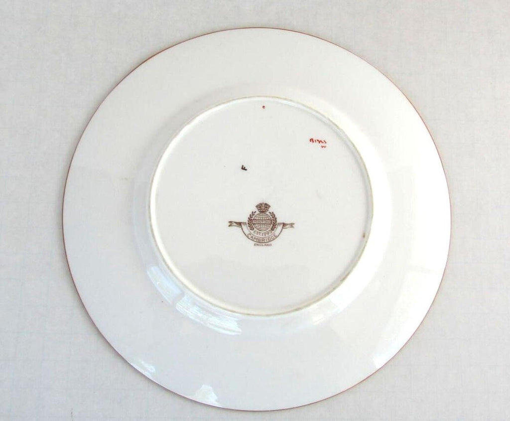 Vintage Minton Cambridge Brown B1323 8.75" Bone China Luncheon Plate