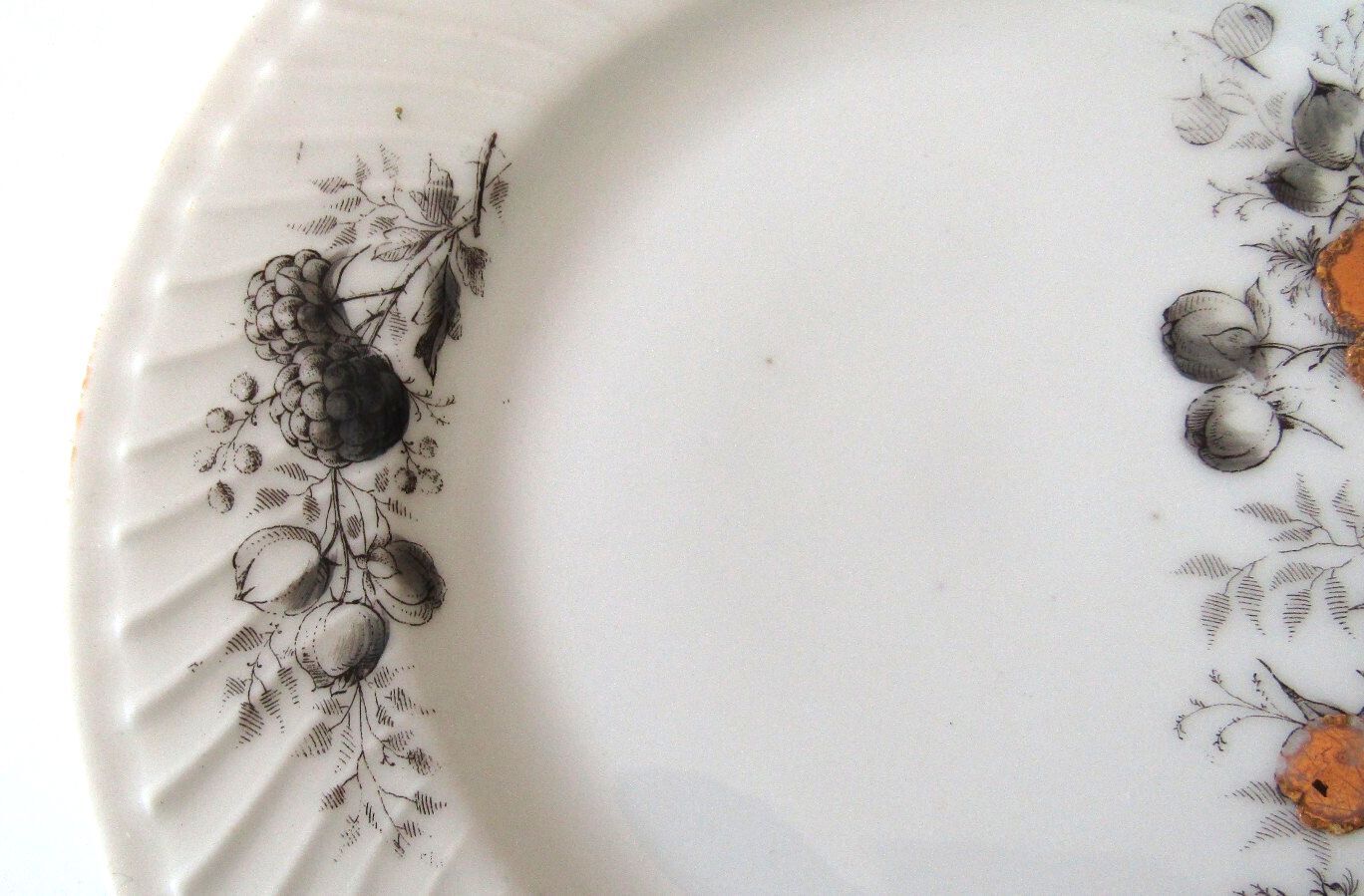 Antique P.R. Co. Germany Porcelain Plate, Fluted Swirl Rim Orange Blossom 1890s